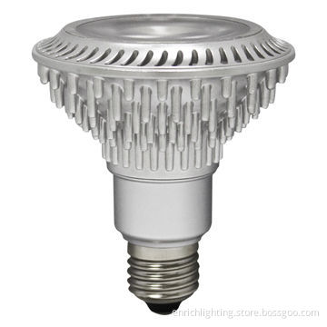 PAR30 LED Bulb with 100-240V Working Voltages